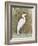 White Egret II-Tim OToole-Framed Premium Giclee Print