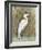 White Egret II-Tim OToole-Framed Premium Giclee Print