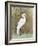 White Egret II-Tim OToole-Framed Premium Giclee Print