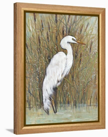 White Egret II-Tim OToole-Framed Stretched Canvas