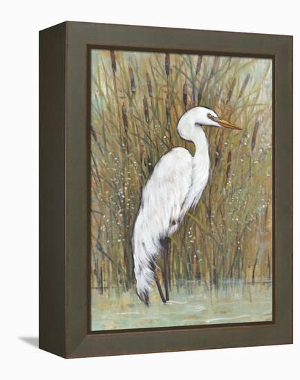 White Egret II-Tim OToole-Framed Stretched Canvas