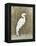White Egret II-Tim OToole-Framed Stretched Canvas