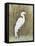 White Egret II-Tim OToole-Framed Stretched Canvas