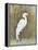 White Egret II-Tim OToole-Framed Stretched Canvas