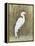 White Egret II-Tim OToole-Framed Stretched Canvas