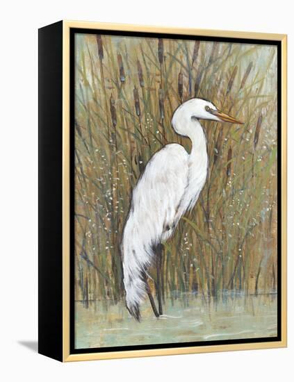 White Egret II-Tim OToole-Framed Stretched Canvas