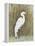 White Egret II-Tim OToole-Framed Stretched Canvas