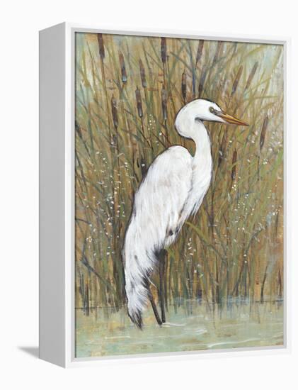 White Egret II-Tim OToole-Framed Stretched Canvas