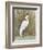 White Egret II-Tim OToole-Framed Art Print