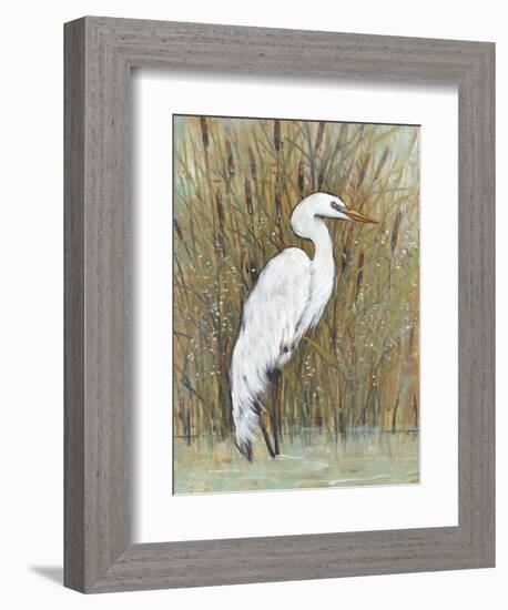 White Egret II-Tim OToole-Framed Art Print