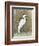 White Egret II-Tim OToole-Framed Art Print