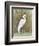 White Egret II-Tim OToole-Framed Art Print