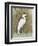 White Egret II-Tim OToole-Framed Art Print