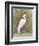 White Egret II-Tim OToole-Framed Art Print