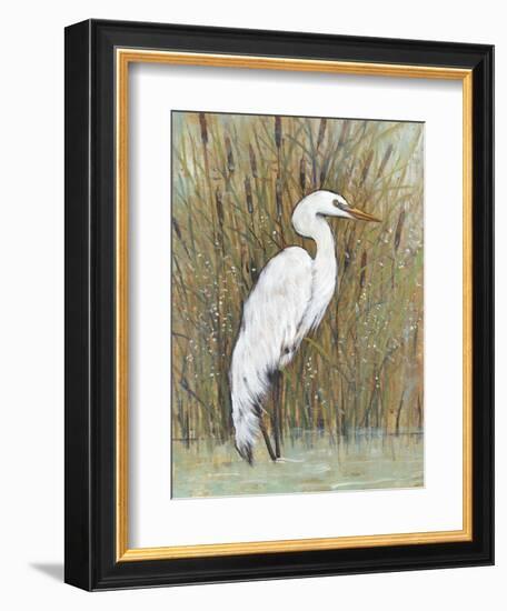 White Egret II-Tim OToole-Framed Art Print