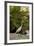 White Egret Tropical Bird, Bavaro, Higuey, Punta Cana, Dominican Republic-Lisa S^ Engelbrecht-Framed Photographic Print