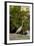 White Egret Tropical Bird, Bavaro, Higuey, Punta Cana, Dominican Republic-Lisa S^ Engelbrecht-Framed Photographic Print