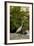 White Egret Tropical Bird, Bavaro, Higuey, Punta Cana, Dominican Republic-Lisa S^ Engelbrecht-Framed Photographic Print