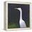 White Egret-Lincoln Seligman-Framed Premier Image Canvas