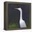 White Egret-Lincoln Seligman-Framed Premier Image Canvas