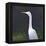 White Egret-Lincoln Seligman-Framed Premier Image Canvas