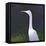 White Egret-Lincoln Seligman-Framed Premier Image Canvas