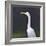 White Egret-Lincoln Seligman-Framed Giclee Print