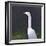 White Egret-Lincoln Seligman-Framed Giclee Print