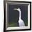 White Egret-Lincoln Seligman-Framed Giclee Print