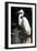 White Egret-Vivienne Dupont-Framed Premium Giclee Print