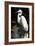 White Egret-Vivienne Dupont-Framed Art Print