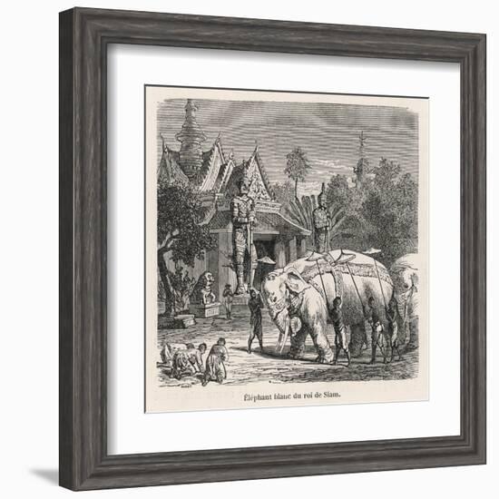 White Elephant Siam-null-Framed Art Print