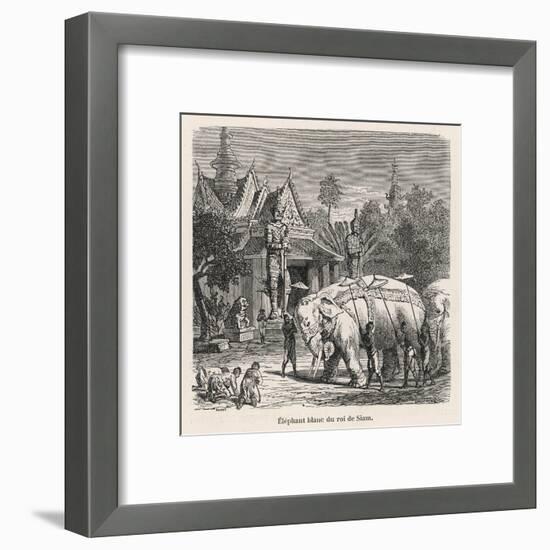 White Elephant Siam-null-Framed Art Print