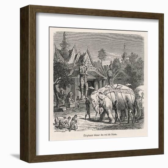 White Elephant Siam-null-Framed Art Print