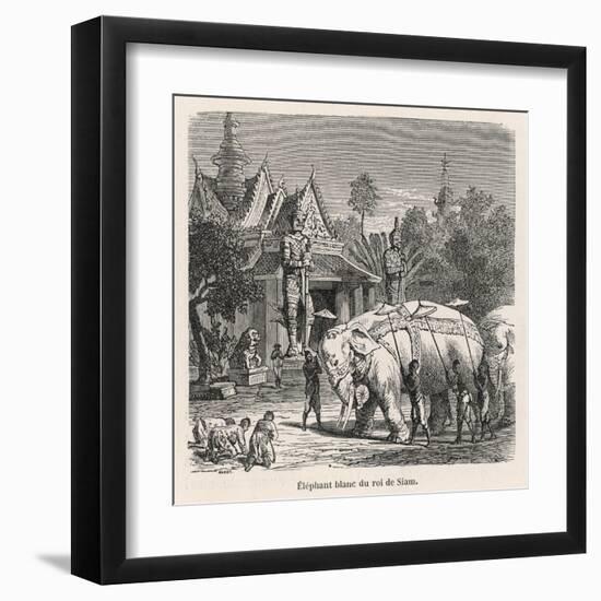 White Elephant Siam-null-Framed Art Print