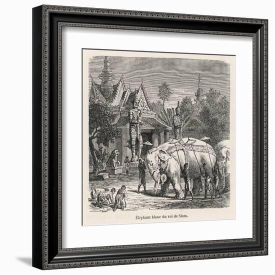 White Elephant Siam-null-Framed Art Print