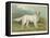 White English Setter-null-Framed Premier Image Canvas