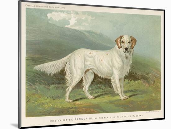Photographic Print, , large