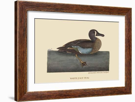 White Face Teal-Mark Catesby-Framed Art Print