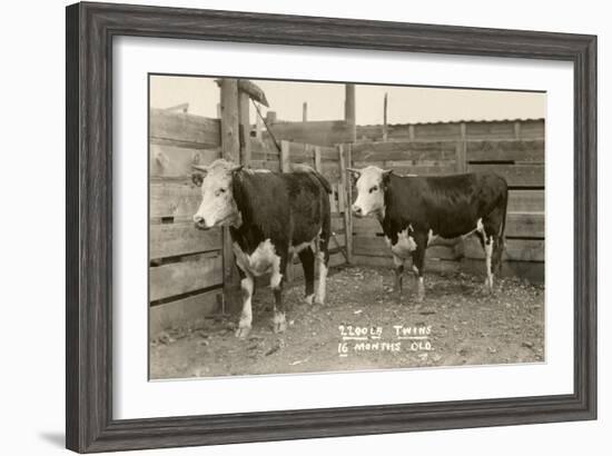 White-Faced Hereford Steer Twins-null-Framed Art Print