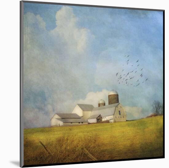 White Farm-Dawne Polis-Mounted Art Print