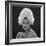 White Feathered Hat, 1960s-John French-Framed Giclee Print