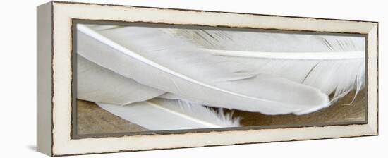 White Feathers-Nicole Katano-Framed Stretched Canvas