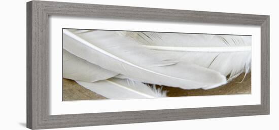 White Feathers-Nicole Katano-Framed Photo