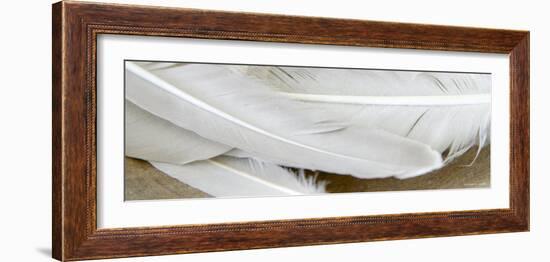 White Feathers-Nicole Katano-Framed Photo