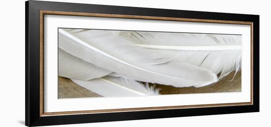 White Feathers-Nicole Katano-Framed Photo