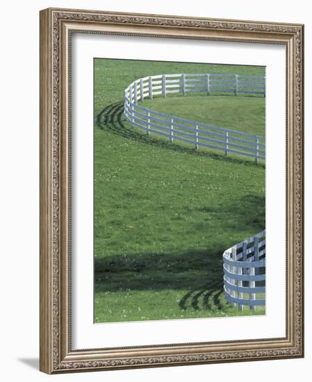 White Fence on Horse Farm, Lexington, Kentucky, USA-Adam Jones-Framed Photographic Print