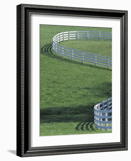 White Fence on Horse Farm, Lexington, Kentucky, USA-Adam Jones-Framed Photographic Print