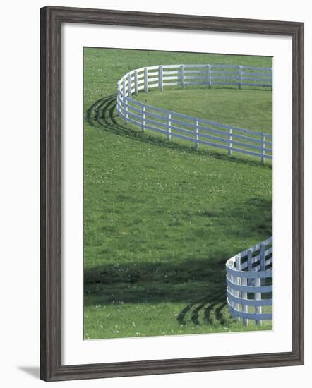 White Fence on Horse Farm, Lexington, Kentucky, USA-Adam Jones-Framed Photographic Print