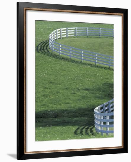White Fence on Horse Farm, Lexington, Kentucky, USA-Adam Jones-Framed Photographic Print